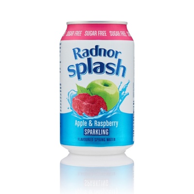 Radnor Hills Splash Lemon Lime Sparkling Can Ml Pack