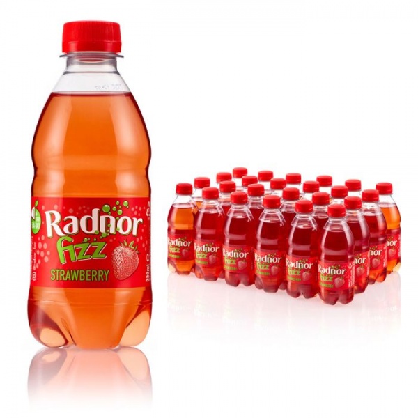 Radnor 45% Strawberry Fizz Bottle 330ml (24 Pack)